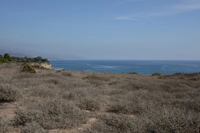 October 2014 - Pt Dume with Brad